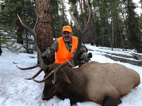 Limit to 4 trophy hunters in 2021. . Guided elk hunt colorado 2022
